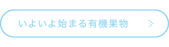 いよいよ始まる有機果物